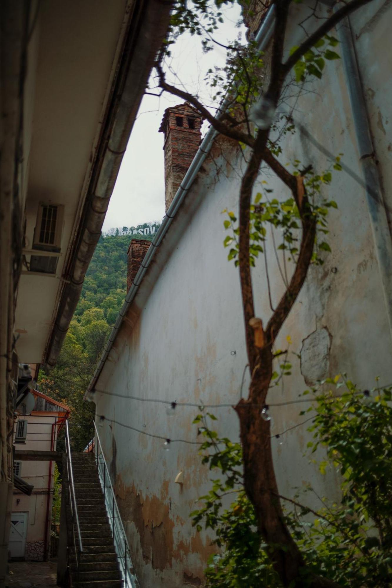 3 Min To Everything-Stylish-Modern-Old Fortress Braşov Exterior foto